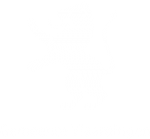 Gemeente Vlaardingen